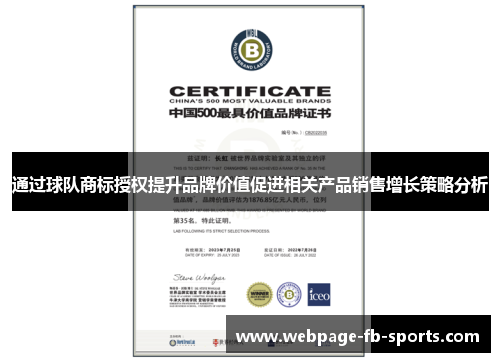 通过球队商标授权提升品牌价值促进相关产品销售增长策略分析 通过球队商标授权提升品牌价值促进相关产品销售增长策略分析